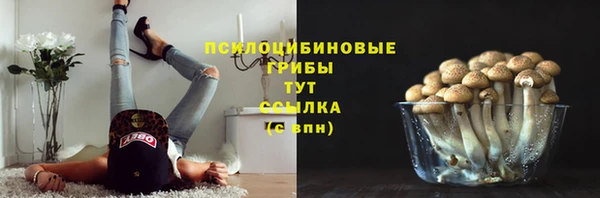 прущий лед Алексеевка