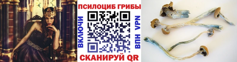 сколько стоит Долинск Галлюциногенные грибы Psilocybe